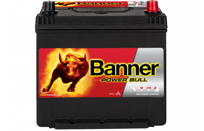 BANNER Power Bull «Азия»