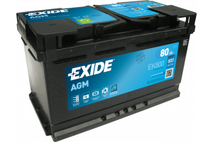 EXIDE AGM